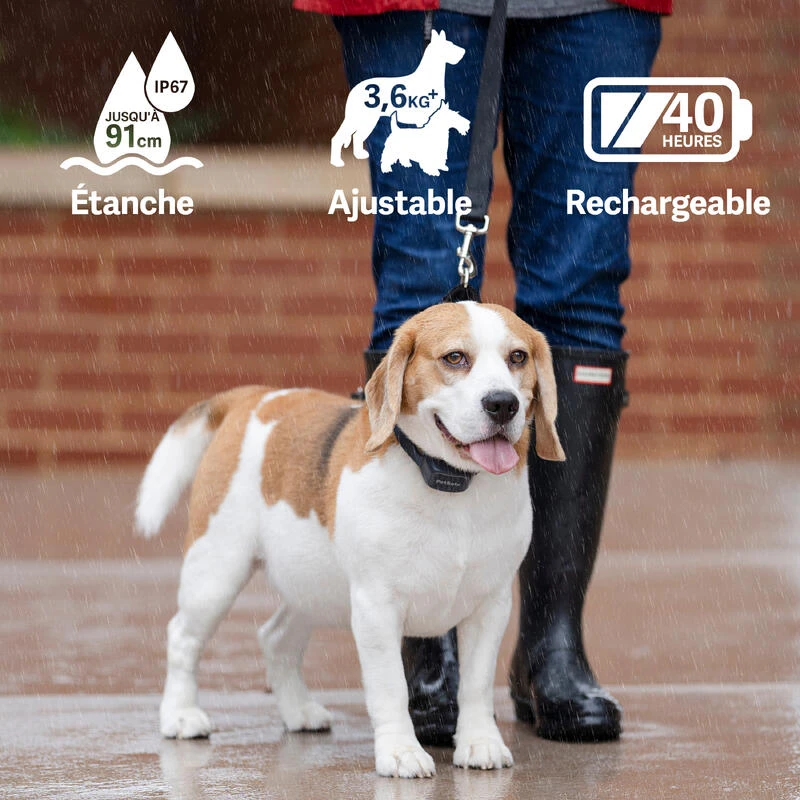 PetSafe ANTI ABOIEMENT SONORE RECHARGEABLE – Image 4