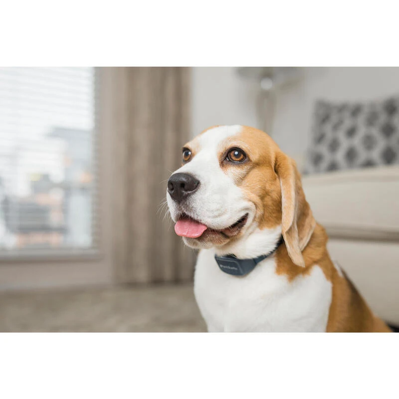 PetSafe ANTI ABOIEMENT SONORE RECHARGEABLE – Image 7