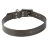 Collier Chien Noir 500