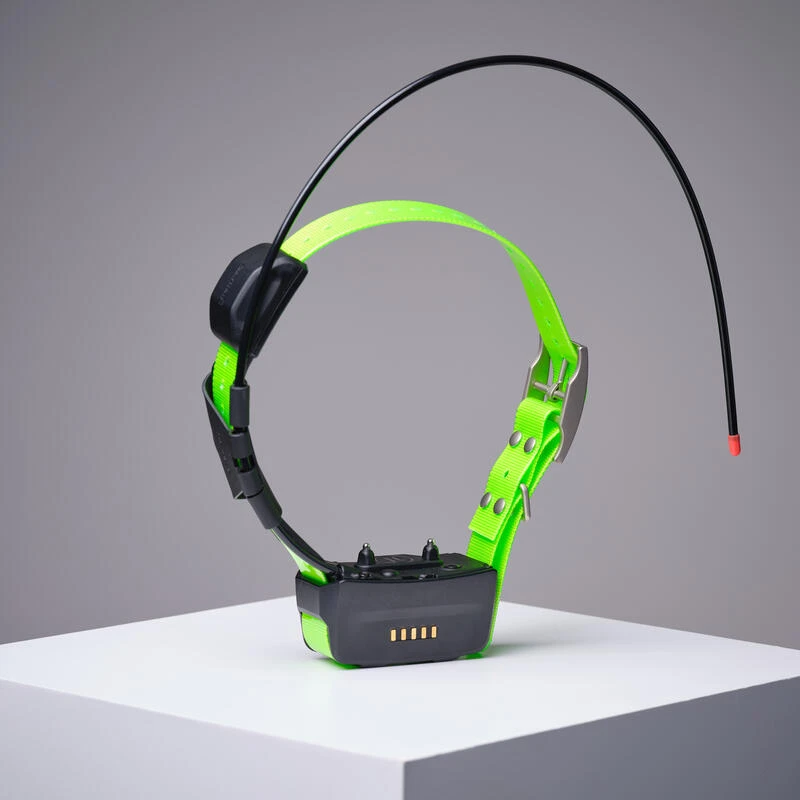 Collier Supplémentaire Repérage Et Dressage Pour Chien Garmin TT15X – Image 2