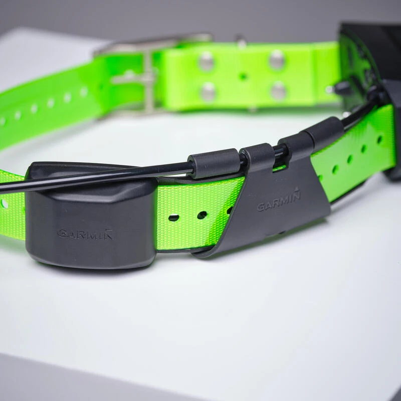 Collier Supplémentaire Repérage Et Dressage Pour Chien Garmin TT15X – Image 6