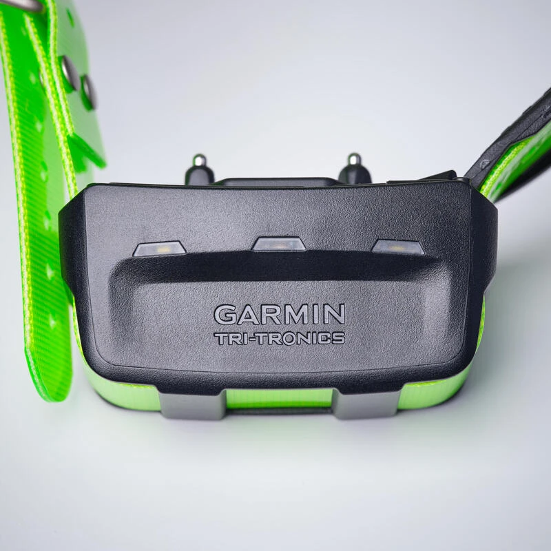 Collier Supplémentaire Repérage Et Dressage Pour Chien Garmin TT15X – Image 7